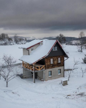 Nebojsa